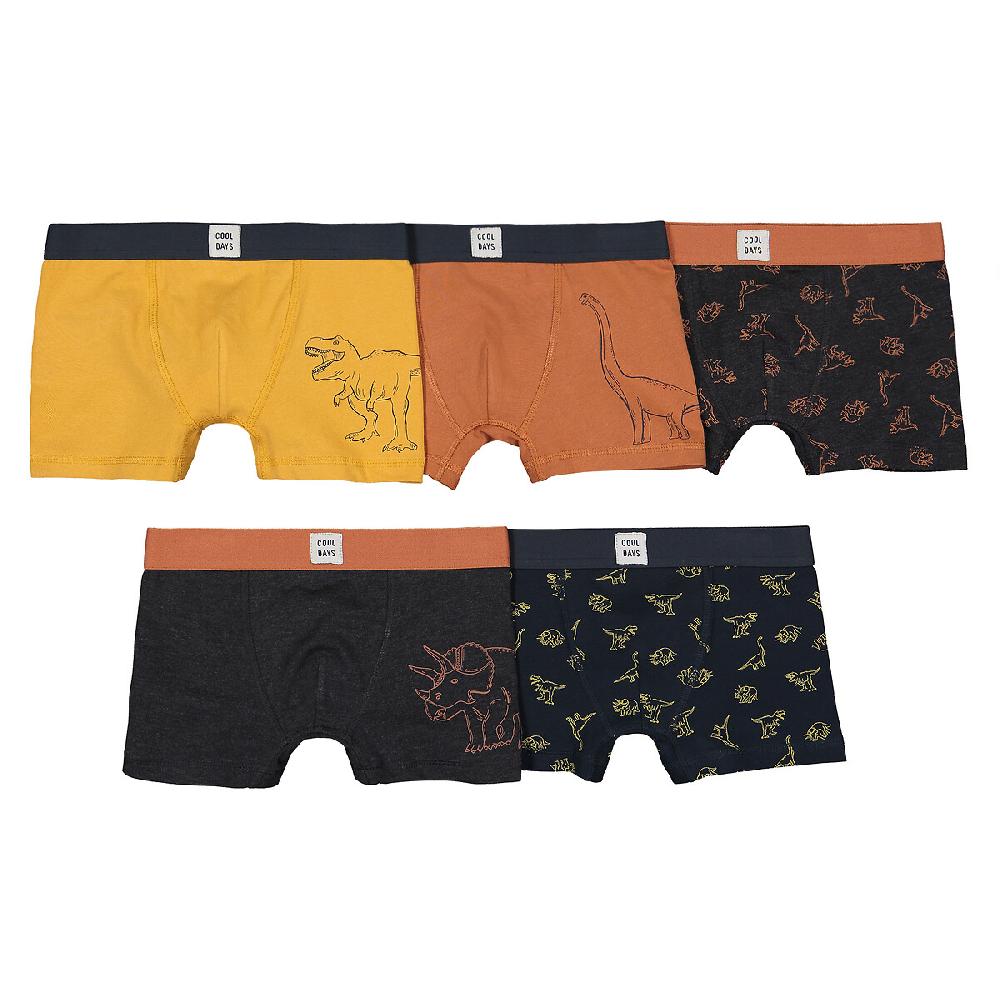 laredoute 5er-Pack Boxerpants "Dinosaurier" bunt LA REDOUTE COLLECTIONS