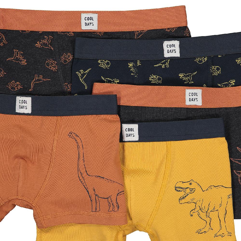 laredoute 5er-Pack Boxerpants "Dinosaurier" bunt LA REDOUTE COLLECTIONS Fabrik Onlineshop