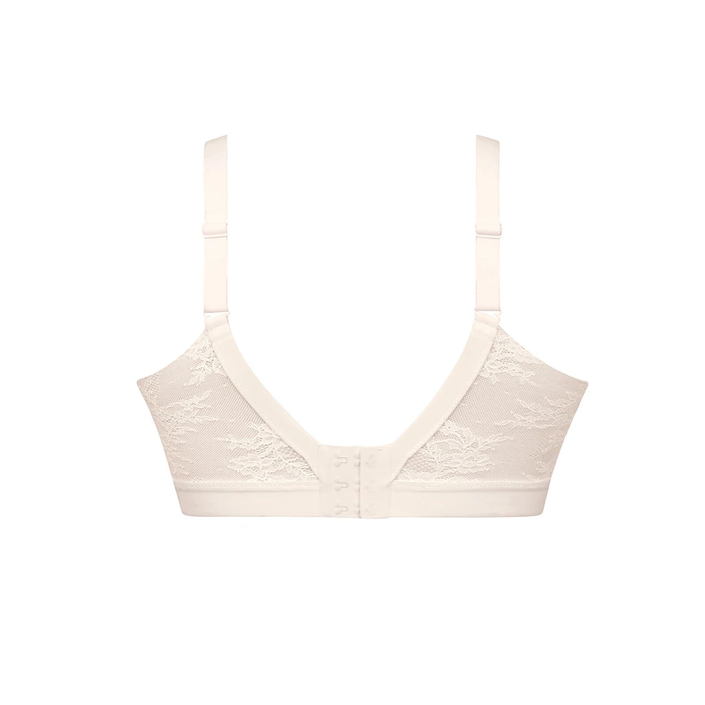 Anita Bustier »Still Bralette Essential Lace« online kaufen Bestseller